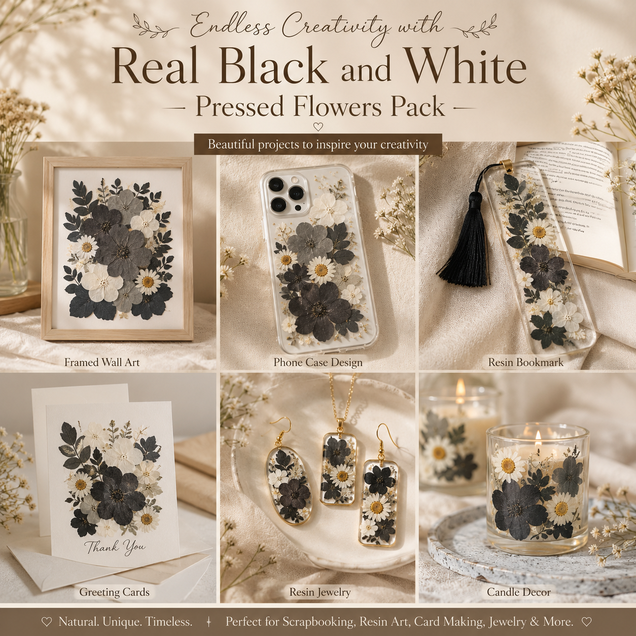 Real Black & White Pressed Flowers Pack | Natural Dried Flowers for Resin Art, Scrapbooking,  Phone Cases, DIY Crafts