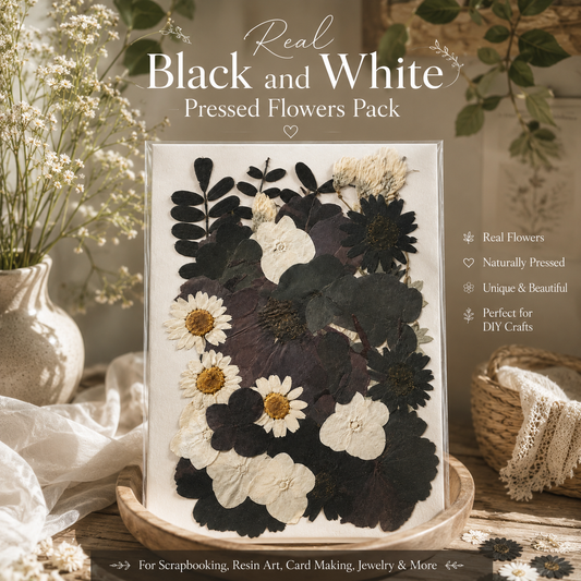 Real Black & White Pressed Flowers Pack | Natural Dried Flowers for Resin Art, Scrapbooking,  Phone Cases, DIY Crafts