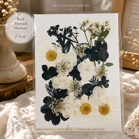 Black & White Pressed Flower Pack | Real Dried Flowers for Resin Art, Phone Cases, Scrapbooking, Card Making, DIY Crafts & Jewelry