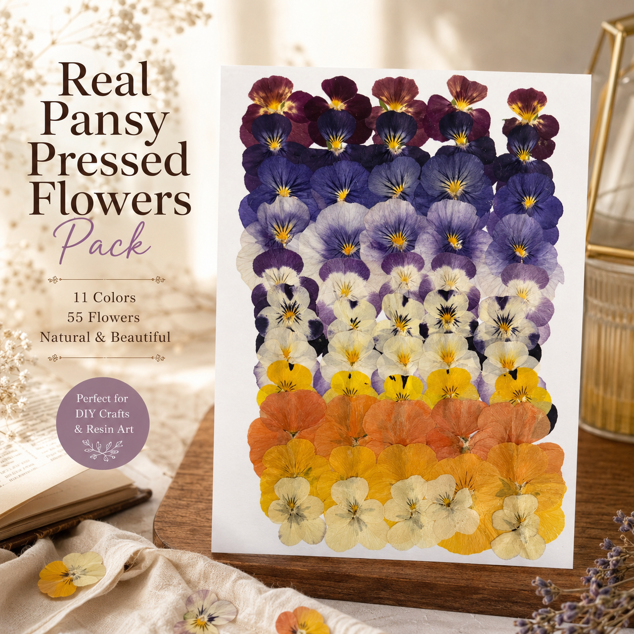 Real Pressed Pansy Flowers Pack | 11 Color Mix | Natural Dried Viola Flowers for Resin, Phone Cases, Bookmarks, Scrapbooking & DIY Craft