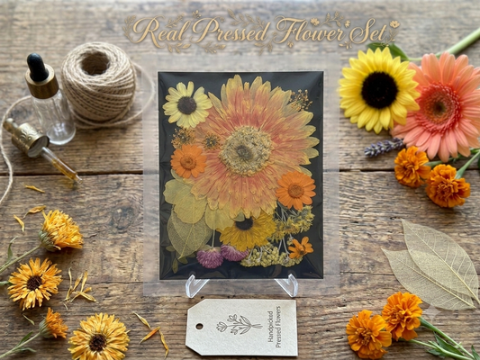 Real Pressed Orange Gerbera Daisy Flower Set | Mixed Dried Flowers for Resin Art, Scrapbooking, Candle Making, Phone Case DIY