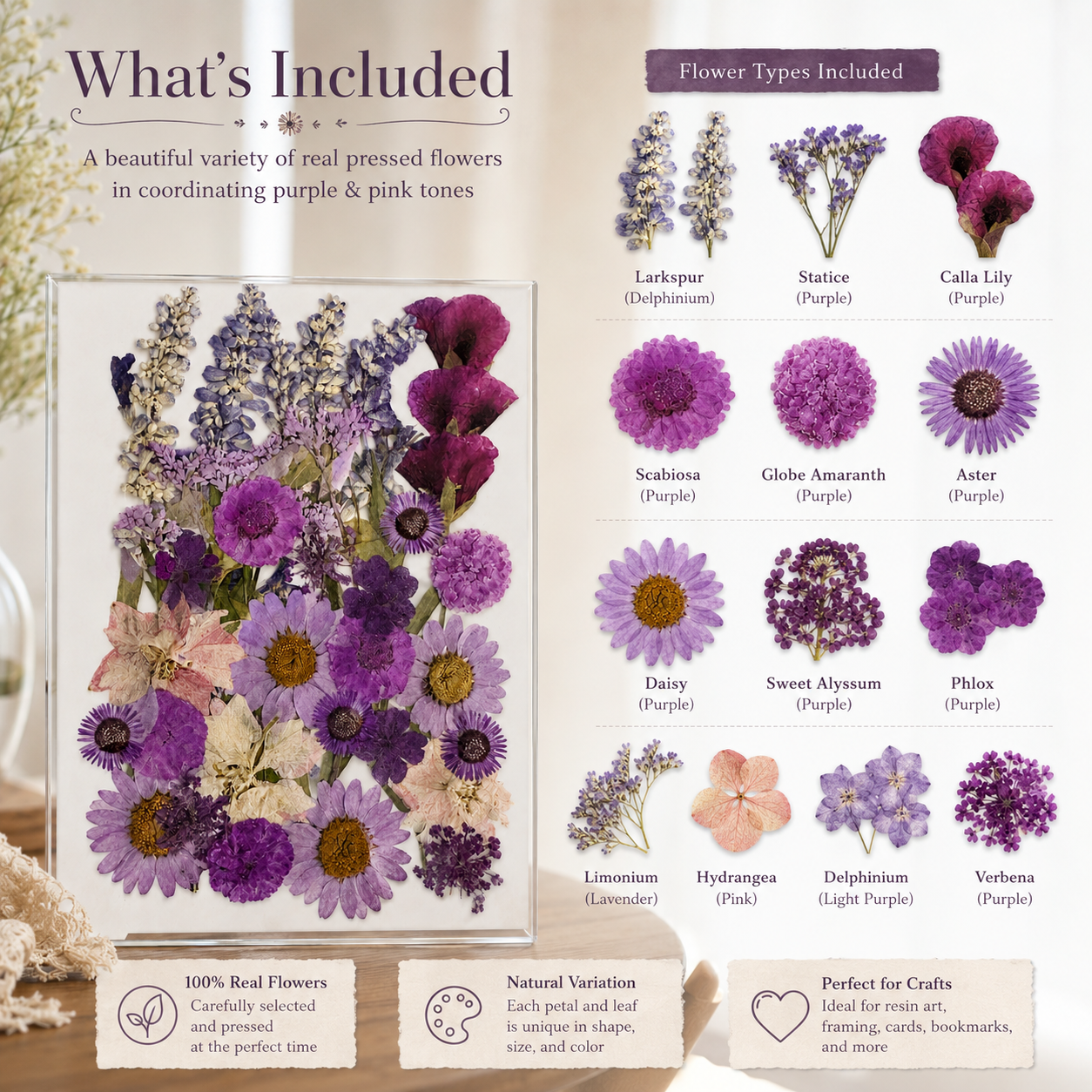 Purple Pressed Flowers Pack | Real Dried Flowers for Resin Art, Card Making, Scrapbooking, DIY Crafts, Jewelry Making, Botanical Decor