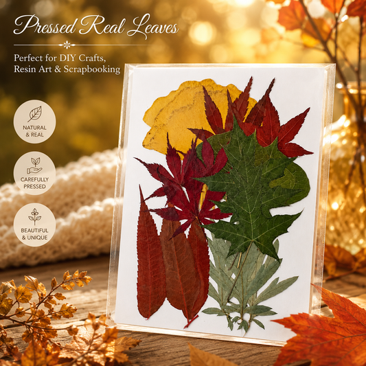 Real Pressed Autumn Leaves Pack | Natural Dried Maple & Fall Leaves for Resin, Scrapbooking, Card Making, Journaling, DIY Crafts
