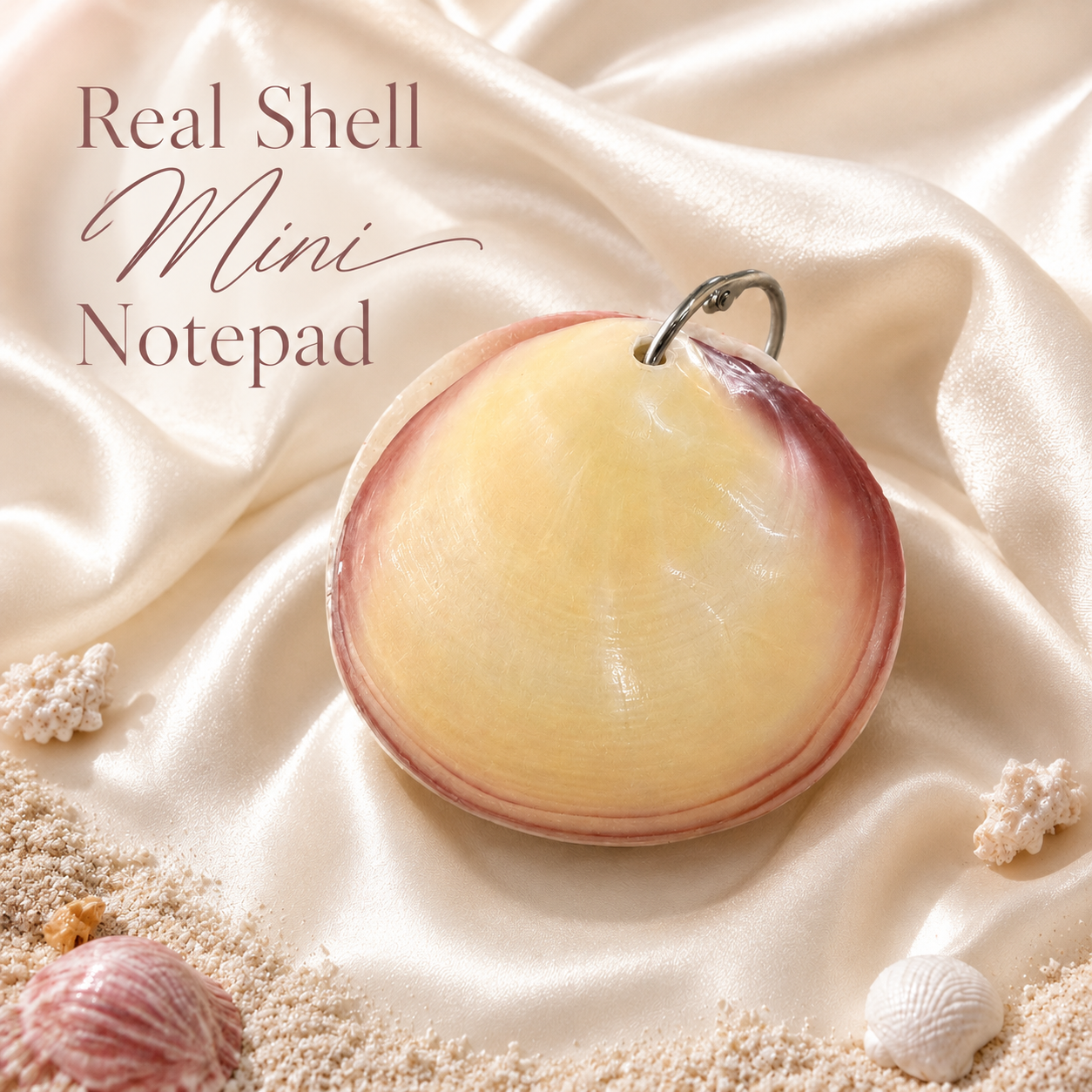 Real Shell Mini Notepad, Pink Clam Shell Notebook, Coastal Pocket Journal, Beach Lover Gift, Unique Seashell Stationery