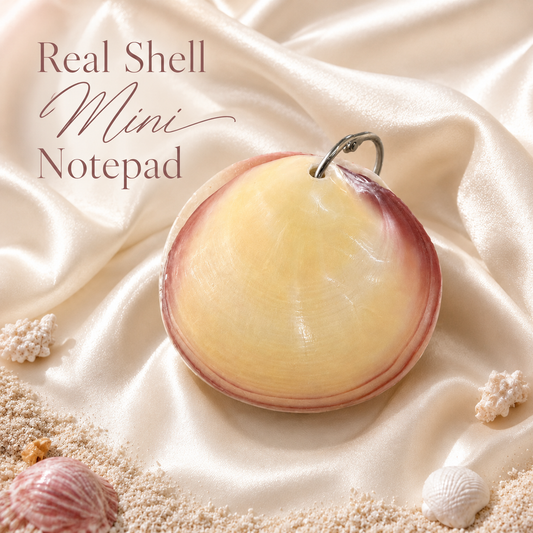 Real Shell Mini Notepad, Pink Clam Shell Notebook, Coastal Pocket Journal, Beach Lover Gift, Unique Seashell Stationery