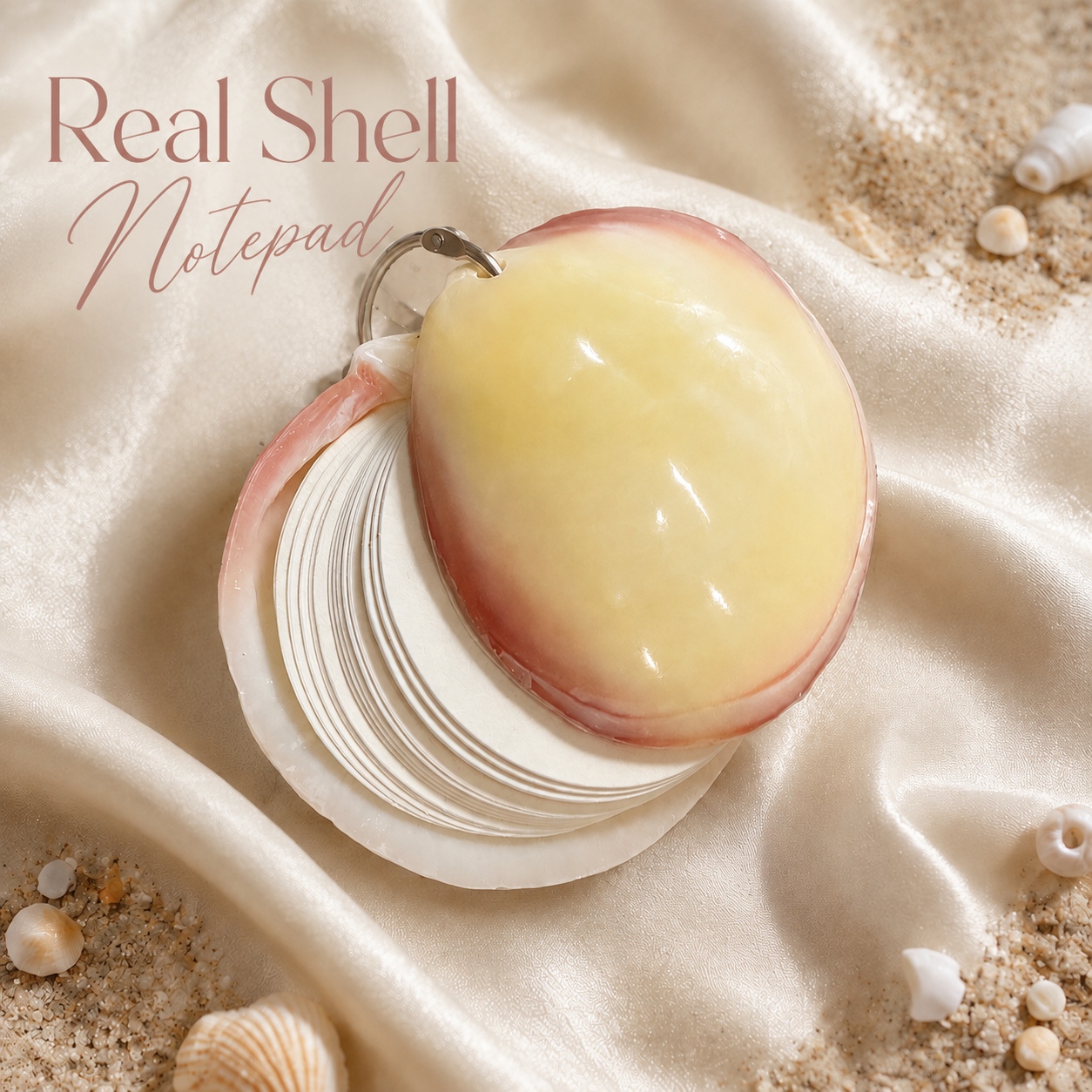 Real Shell Mini Notepad, Pink Clam Shell Notebook, Coastal Pocket Journal, Beach Lover Gift, Unique Seashell Stationery
