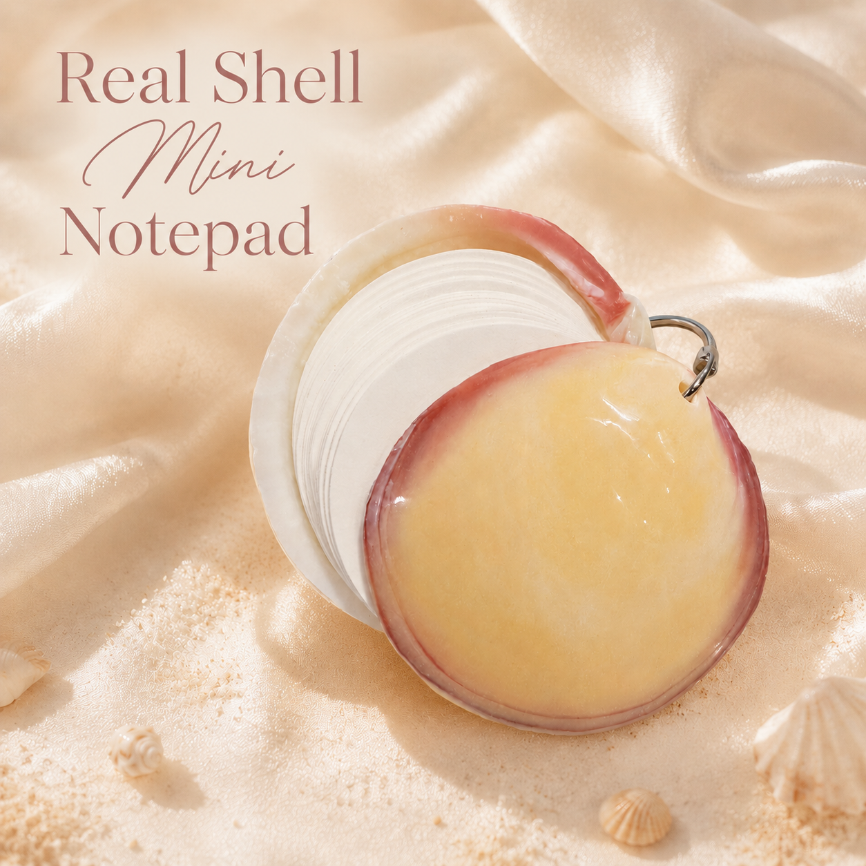 Real Shell Mini Notepad, Pink Clam Shell Notebook, Coastal Pocket Journal, Beach Lover Gift, Unique Seashell Stationery