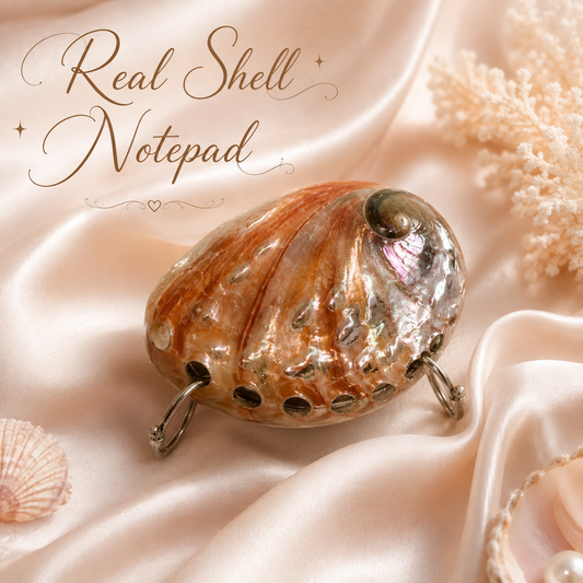 Real Abalone Shell Notepad, Mini Shell Notebook, Coastal Journal, Natural Seashell Gift, Beach Lover Gift, Ocean Inspired Desk Decor