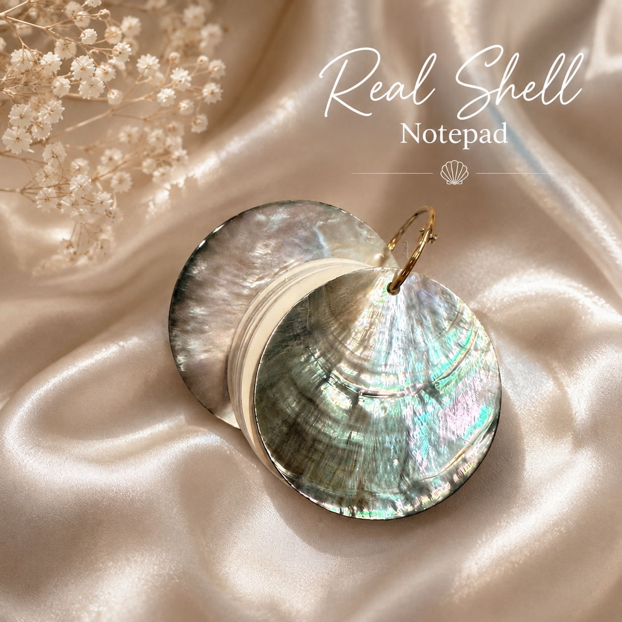 Real Shell Notepad, Mother of Pearl Mini Notebook, Coastal Pocket Notepad, Ocean Lover Gift, Beach Stationery, Unique Small Gift